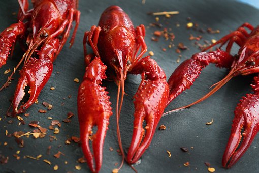 Nature子刊：吃龙虾能够预防结直肠癌？其实是虾青素在起作用